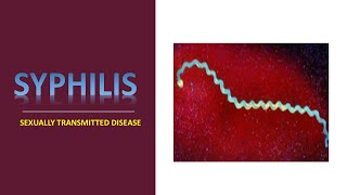 SYPHILIS II MEDICAL MICROBIOLOGY II SEXUALLY TRANSMITTED DISEASE STD [upl. by Aitat]