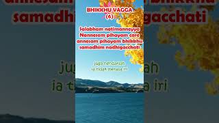 Shorts Dhammapada Bhikkhu Vagga Bhikkhu  syair 6 365 Bhikkhuvagga Bhikkhu mindfulness8814 [upl. by Shyamal]