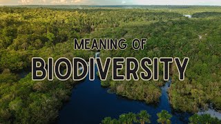 What is the meaning of Biodiversity [upl. by Ibocaj]