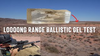 Ballistics Gel Testing at 600 Yards 65 PRC amp 65 Creedmoor [upl. by Steinway]