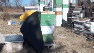 Beekeeping How To Wrap Your Bee Hive For Winter [upl. by Curt]