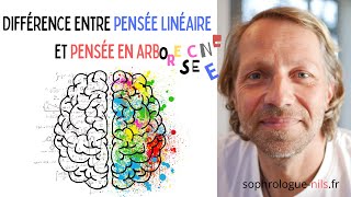 34 Pensée en arborescence🌳🌈🤯 🤪face à la pensée linéaire🛤🤓😏 [upl. by Carmelia]