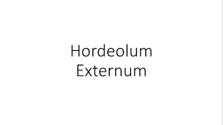 Hordeolum Externum Stye  Ophthalmology [upl. by Alemac]