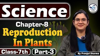 Science  Class7th  Chapter8 Reproduction in Plants  Part3 By Pranjul Sharma science class7 [upl. by Norbert]