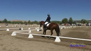 227D Lisa Sabo on Summerwood Clover Rua Open Beginner Novice Dressage Twin Rivers Ranch Sept 2024 [upl. by Adiasteb]