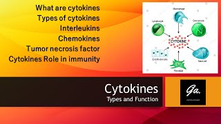 CYTOKINES Interleukins and their functions Interferons Chemokines Immunology [upl. by Finbar]