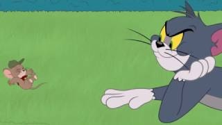 Dandy Do Gooders  Tom amp Jerry  Cartoon World [upl. by Sillig]