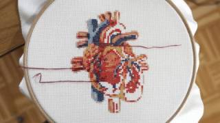 Cross stitch heart time lapse ° stitching of an anatomic embroidery design [upl. by Branham588]