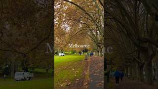 Beautiful Autumn Day 🍂in Melbourne  Melbourne City Walking Tour Australia [upl. by Eninahpets]