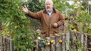 LÉGUMES ORIGINAUX ET MÉCONNUS À DÉCOUVRIR DANS LE PARC DU VÉGÉTAL À ANGERS [upl. by Eixid363]