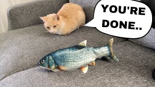 Cat destroys flopping fish toy cute animal ASMR [upl. by Namrej]