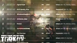 LVL 79 SERVER WIPE with 545  Escape from Tarkov [upl. by Name]