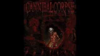 Cannibal Corpse  Scourge Of Iron lyrics [upl. by Seigel]