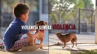 Violencia Familiar  Violencia Génera Violencia [upl. by Nalac]