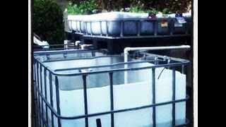 Aquaponics BackYard System  How to build Part2 [upl. by Aihsyla]