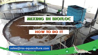 How Important is Mixing for Biofloc Shrimp Farming  Type of Mixing System for Aquaculture [upl. by Karon]