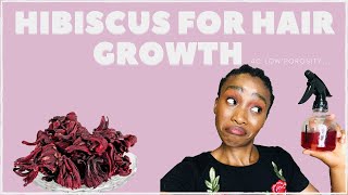 HOW TO USE HIBISCUS For GROWTH amp MOISTURE RETENTION DIY spritzer 4c Low Porosity Natural hair [upl. by Yemarej]