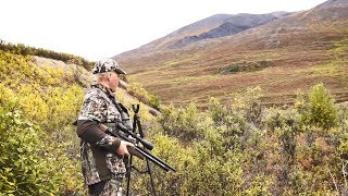 Hunting Ptarmigan in Alaska with an Air Rifle [upl. by Tiloine]