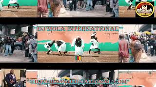 Kocee ft Patoranking  Credit Alert  CoverRemix by DJMOLAINTERNATIONAL🇨🇲vip culture africa [upl. by Gilbertine]