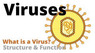 Structure and Function of a Virus Virology Basics [upl. by Enisaj]