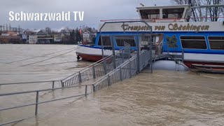 🚨🌊 HochwasserHöhepunkt in Bad Säckingen am Hochrhein 13122023 [upl. by Linette104]