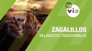 Zagalillos 🎶 Villancicos Tradicionales para la Novena de Aguinaldos 🎄 Tele VID [upl. by Edelson88]