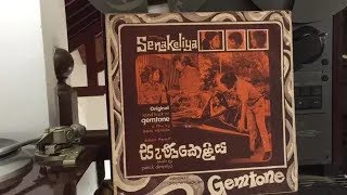 Indrani Perera amp Milton Mallawarachchi Samanala Raenak Se Film Senakeliya [upl. by Mur]