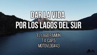 Dar La Vida Por Los Lagos del Sur quotEl Lago Paimúnquot Argentina T4C5 Mvlog 43 [upl. by Adiel549]