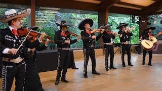 mariachis en Barcelona Son de la negra Mariachi Internacional Barcelona [upl. by Yedoc]