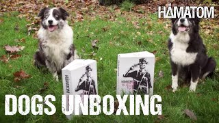 HÄMATOM  Die Liebe ist tot  SUED FreakBox Dog Unboxing [upl. by Boggs199]