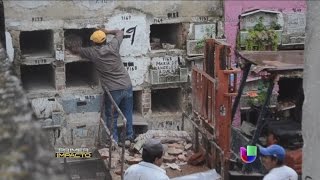 En un cementerio están sacando a los muertos de sus tumbas [upl. by Anonyw]