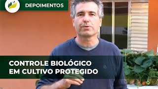 Palavra do consultor controle biológico em cultivo protegido [upl. by Kelli]