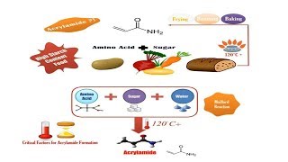 Acrylamide Risk in Food Food Safety Tips [upl. by Harberd]