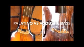 Palatino vs Acoustic Double Bass line out sound check [upl. by Nekciv379]