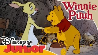 Kleine Abenteuer mit Winnie Puuh  Winnie Puuh besucht Rabbit  Disney Junior [upl. by Aibonez667]