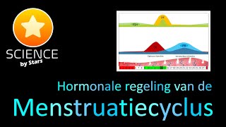 Hormonale regeling menstruele cyclus [upl. by Elbag]