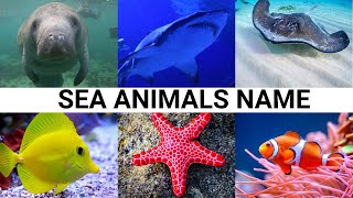 Learn Sea Animals Name  Water Animals Name in English  Water Animals Name video  seaanimals [upl. by Petuu]