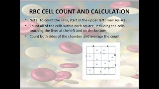 how to count RBC cell in Neubauer improved counting chamber Bangla [upl. by Einhapets792]