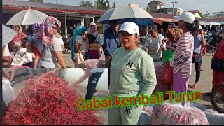 20 Maret 2024 Info Harga Cabai tomat kol kentang Pajak Tigapanah amp Pajak Roga Berastagi [upl. by Neda]