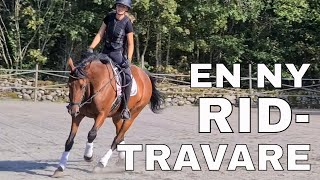 TRÄNING AV RIDTRAVARE  Att rida en ny häst [upl. by Reklaw]