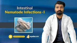 Intestinal Nematodes Infections I  Medicine Lectures  Student Education  VLearning [upl. by Neltiak356]