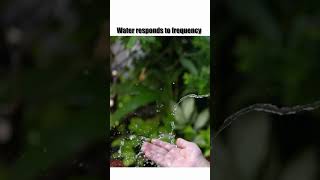 HOW and WHY Frequency Affects Water [upl. by Emarej]