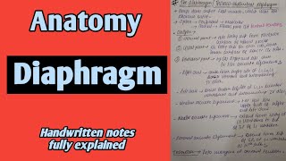 Diaphragm  Thoracoabdominal Diaphragm  Anatomy  By Namita Ussara [upl. by Rol]