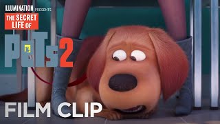 THE SECRET LIFE OF PETS Easter Trailer 2016 [upl. by Ellekim228]