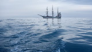 Videos más Raros Barcos Vs Olas Gigantes [upl. by Nalorac]