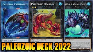 【YGOPRO】 PALEOZOIC DECK 2022 [upl. by Legna]