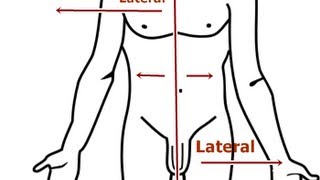 Intro to Lateral amp Related Terms Getting Used to Anatomic Direction Terms [upl. by Aicrop]