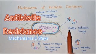 An Overview Of The Antimicrobial Resistance Mechanisms  Antibiotic Drug Resistance  Medico Star [upl. by Fairfax]