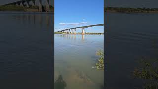 Ponte Gercino Coelho de 1180 metros é a ligação entre as margens do Rio São Francisco [upl. by Yrmac]