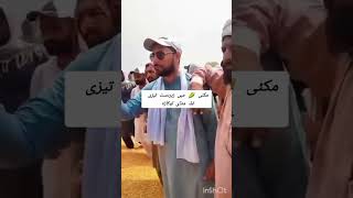 corn price today agriculture trend grain fyp foryou vlog viral armtv651 cotton cute news [upl. by Zilvia640]